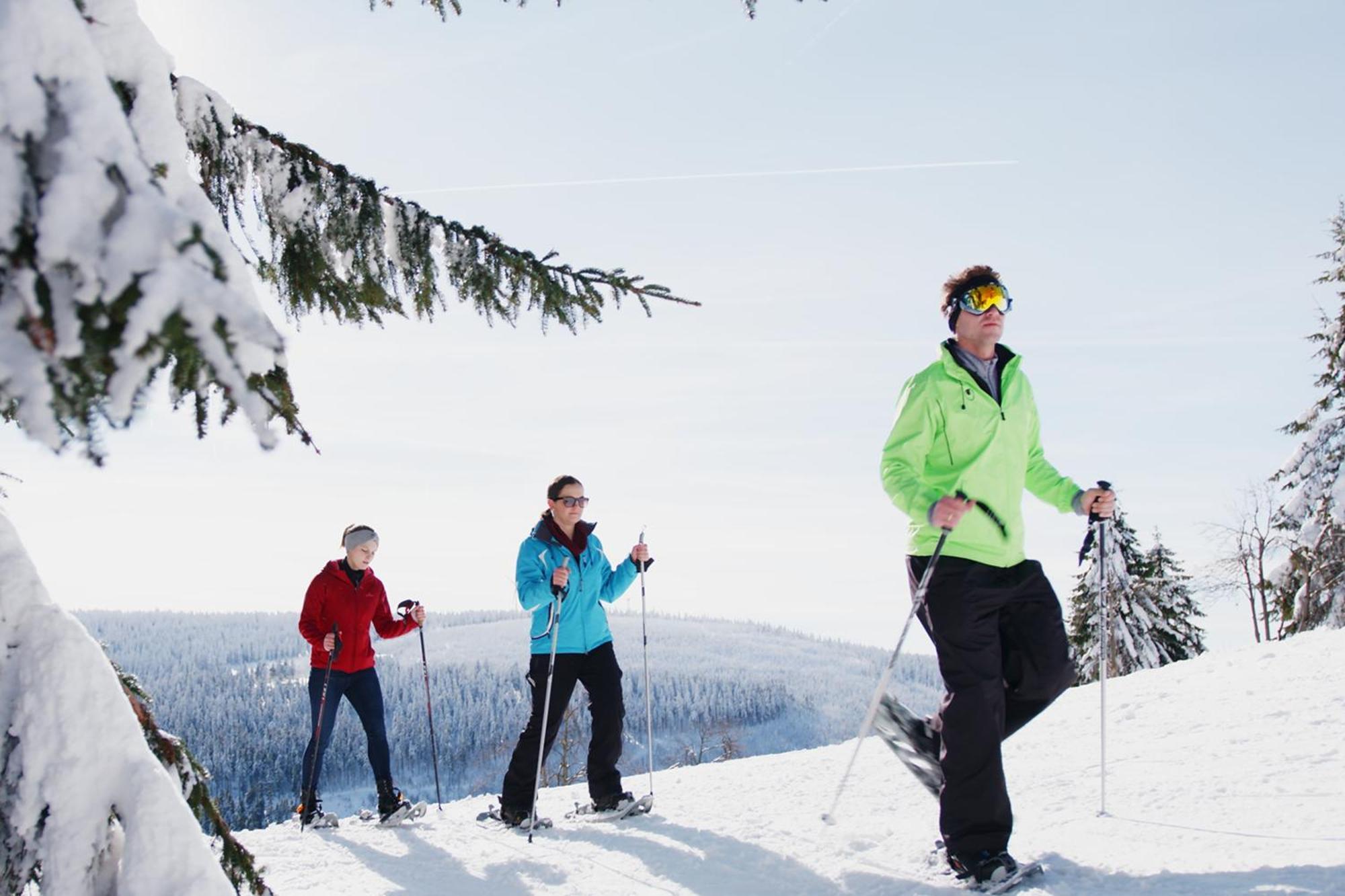 Ahorn Hotel Am Fichtelberg كورورت اوبرويسنثا المظهر الخارجي الصورة